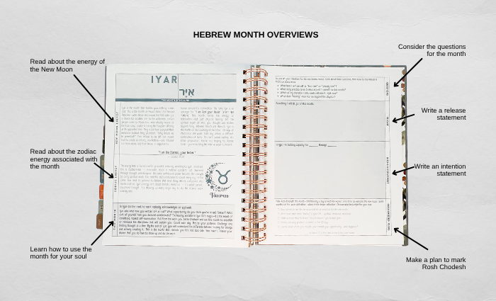 Jewish Weekly Planner 2026-2027 | Hebrew Dates, Holidays & Shabbat | Modern Aesthetic